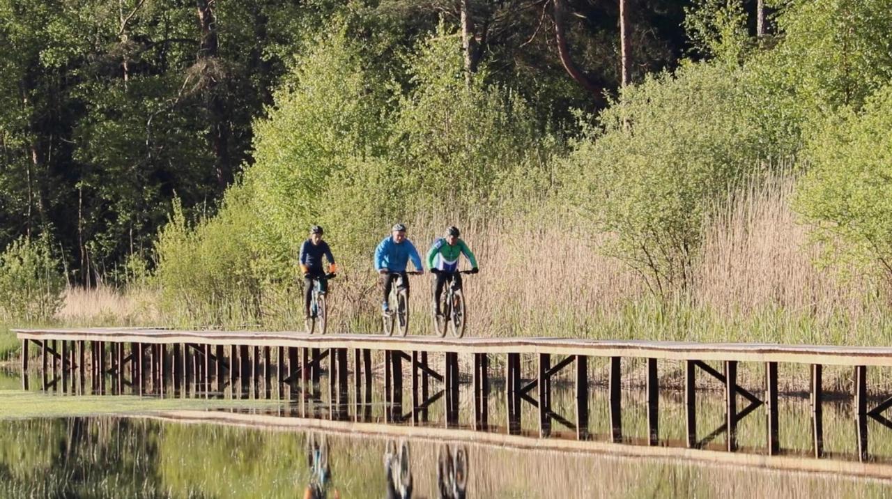 ベーツステルズワーグ Koetshuis Landgoed Lauswoltヴィラ エクステリア 写真